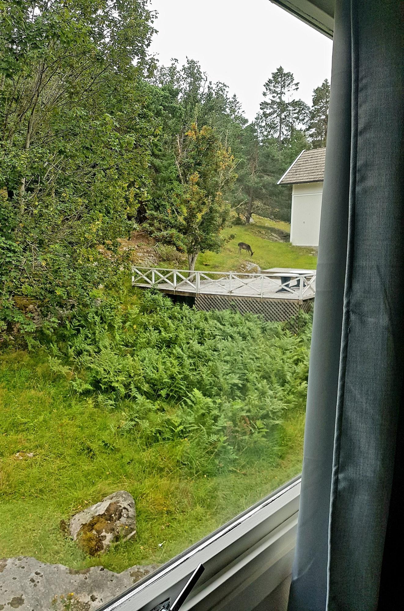 Hanko Fjordhotell And Spa Экстерьер фото